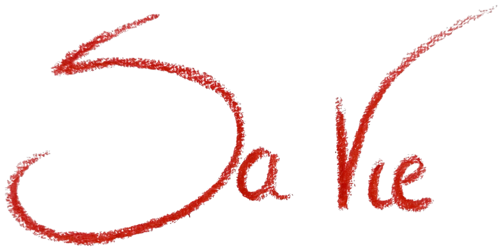 Sa Vie